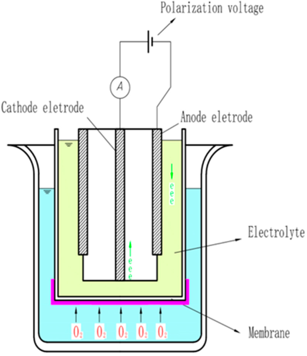 余氯電極檢測原理